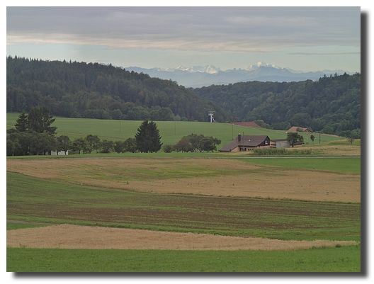 ​Belchen satt [Zum Verschieben anwählen und ziehen] ​