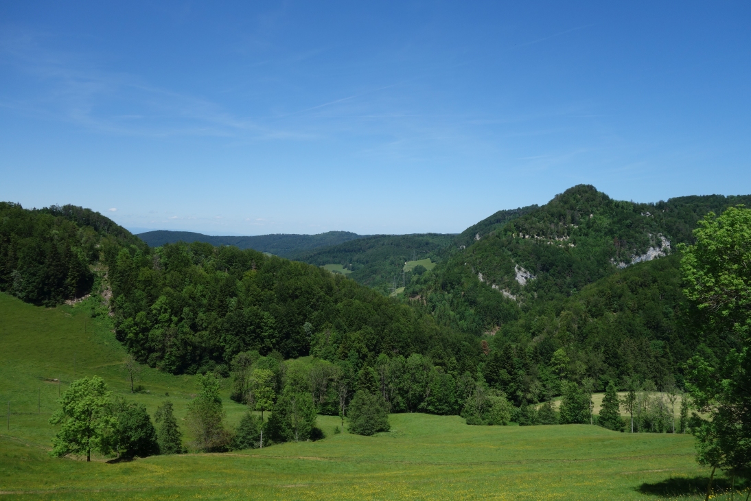 Ausblick im Jura