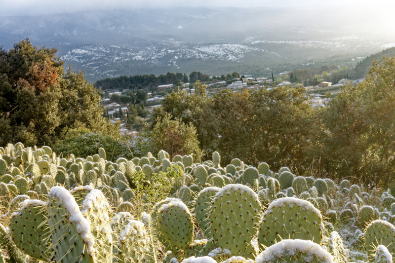 Am Ventoux